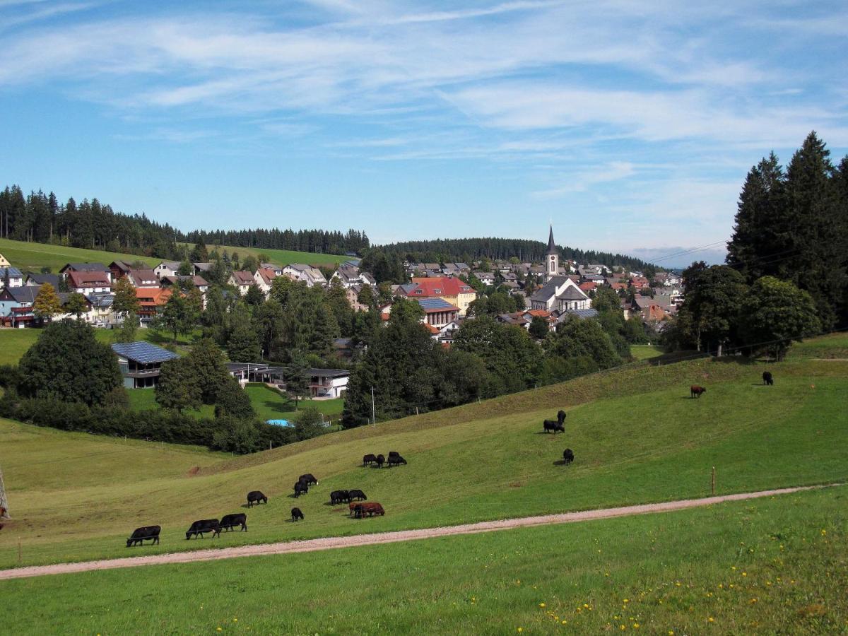 Landhotel Garni Schweizerhaus Schönwalde Exteriér fotografie